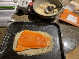 Salmon2.jpg