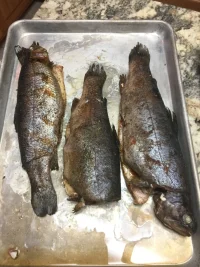 Whole Trout.webp