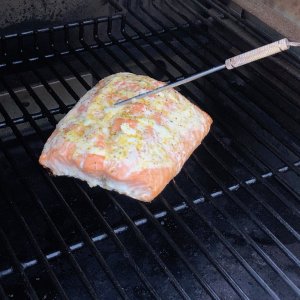 traeger-salmon1.jpeg