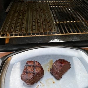 Fillets Sear.JPG