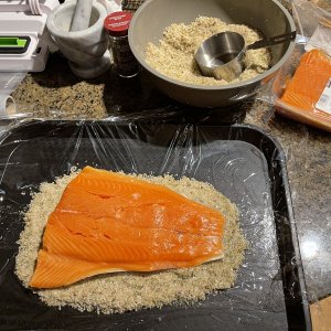 Salmon2.jpg