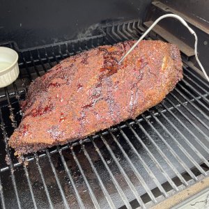 traeger-brisket-mustard-test.jpeg