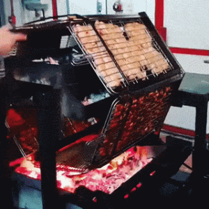 TraegerAddOn.gif