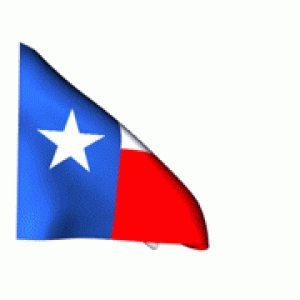 texas-flag-8.gif