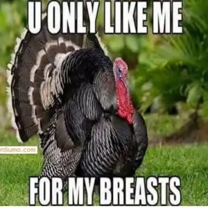 Happy-Thanksgiving-Day-Memes.jpg