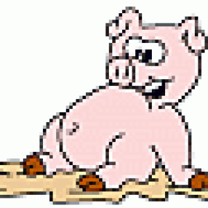 zodiac-pig-pic.gif