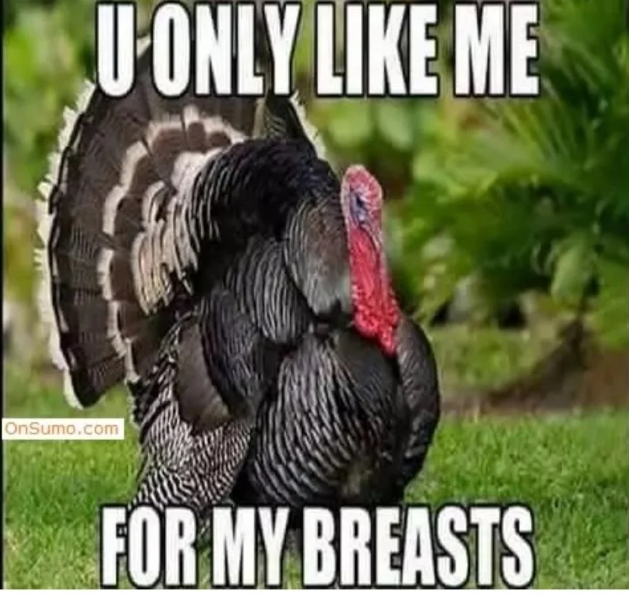 Happy-Thanksgiving-Day-Memes.jpg