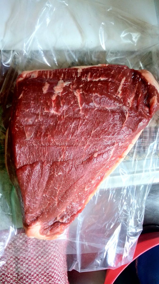 P_20200404_164409_HDR.jpg tri tip.jpg