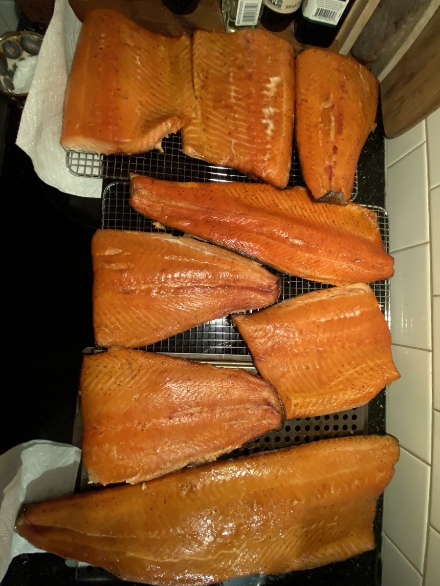 Salmon 1.jpg