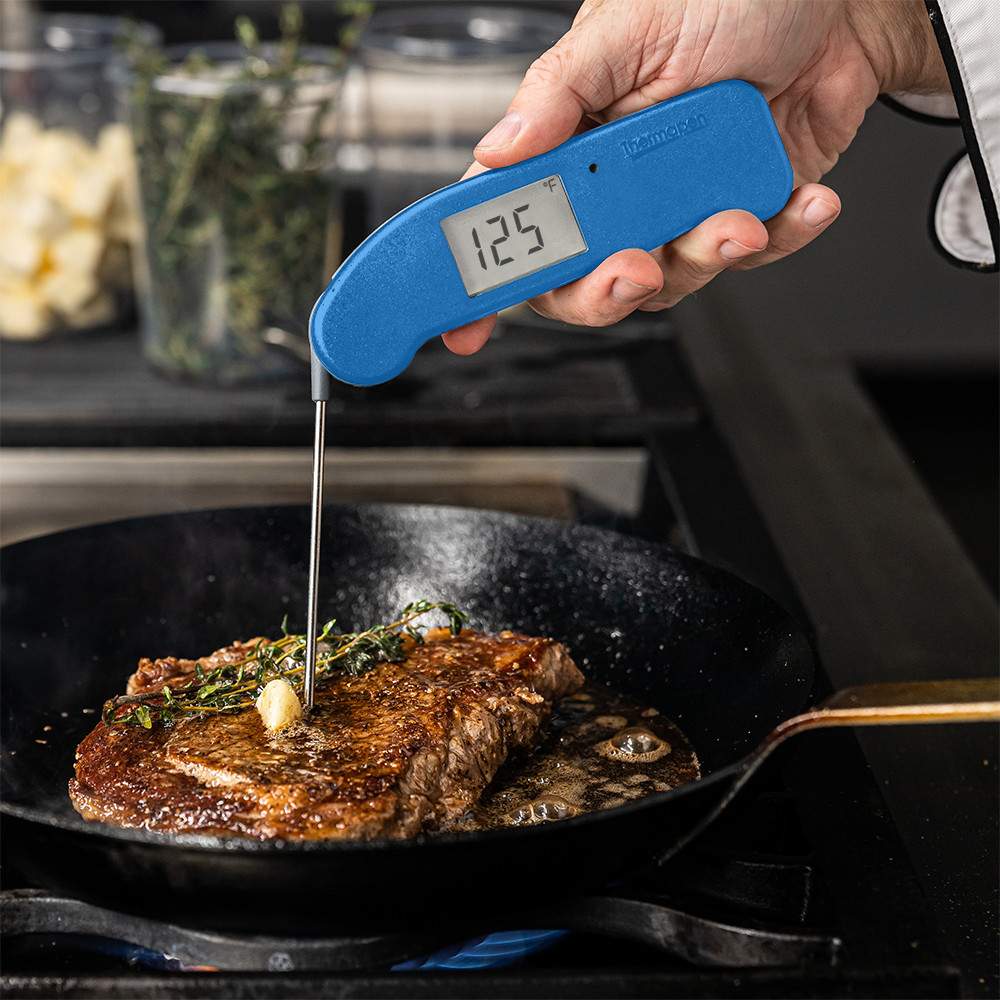 thermapen-one_generic-01.jpg