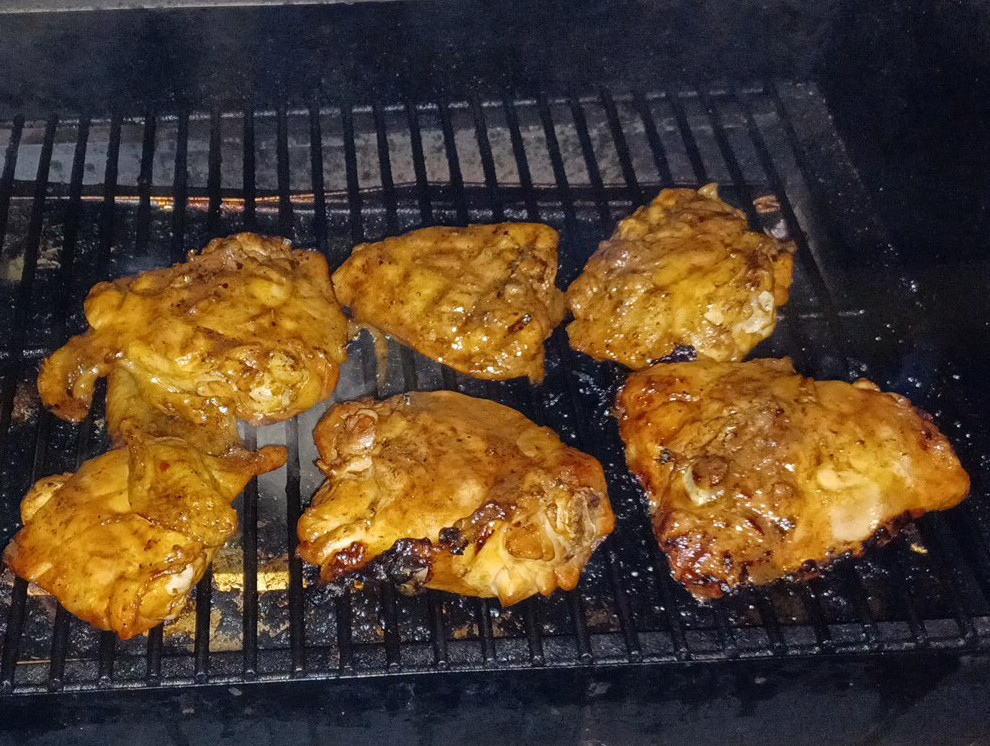 Traeger4a.jpg